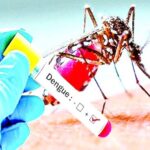 Dengue cases are increasing in Hyderabad