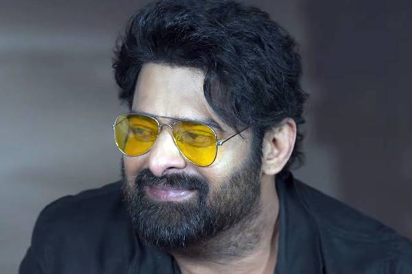 ప్ర‌భాస్ ఎంత‌ కేర్ తీసుకొన్నారంటే..?