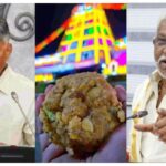 thirupathi laddu controversy