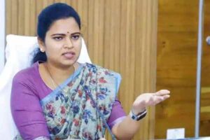 వైసీపీని గొడ్డలి పార్టీ అని ఎందుకంటున్నారు?