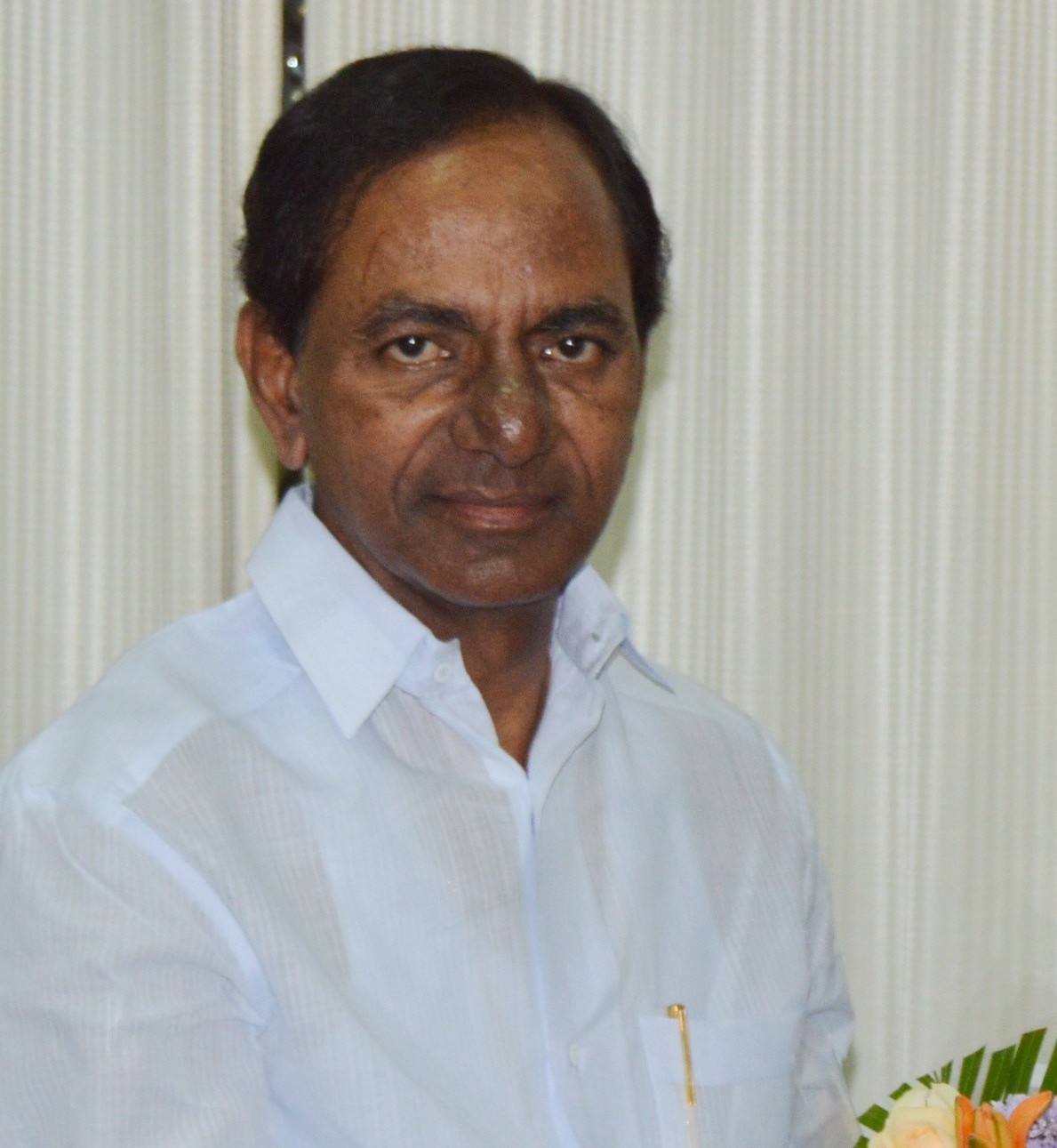 KCR Names Discoms After T-Gods