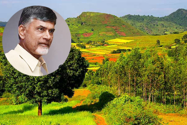 Why Naidu adopted Pedalabudu in Araku valley?