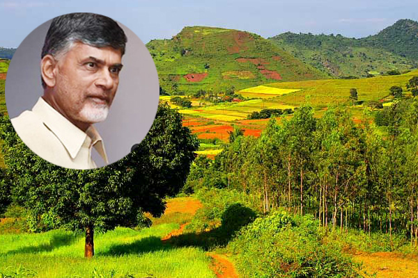Why AP went back on its move to mine bauxite in tribal areas?