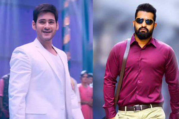 NTR Rejected Mahesh Babu's Brahmotsavam