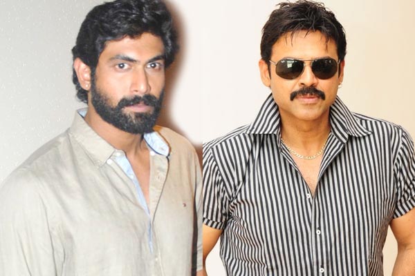 Venkatesh Ranaâs Multistarrer on Cards, Ravikanth Perepu direct Daggubati 's movie, Venkatesh, Rana and Chaitu Multistarrer Movie