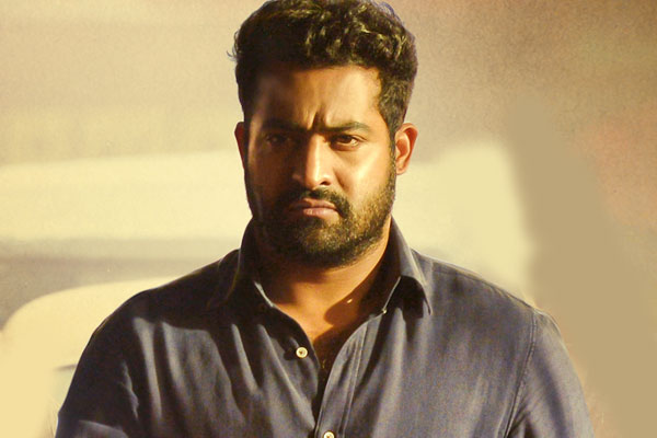 NTR respond on fans, ntr response of fan issue