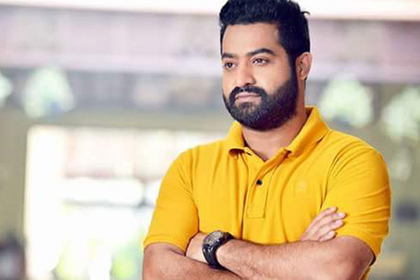 NTR's Dilemma Over His Next Film Vakkantham Vamsi or Puri Jagan