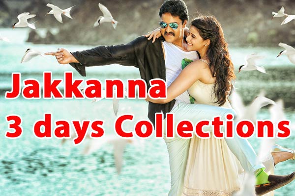 Sunil's Jakkanna three days Collections