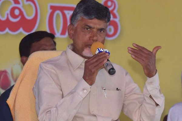 Pawan Kalyan spoke truth, says Chandrababu Naidu