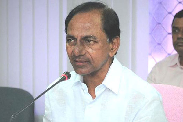 KCR, KTR, KTR to take training sessions, TRS party cadre,