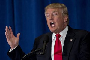 Trump considering overhaul of H1b Visas