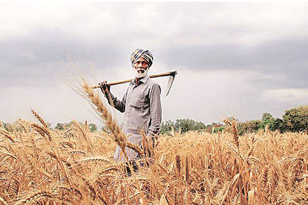 Over 200 farmers file nominations in Nizamabad LS seat