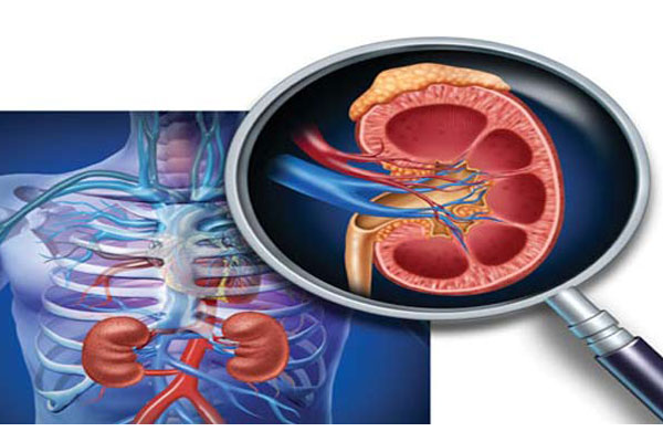 Uddanam nephropathy