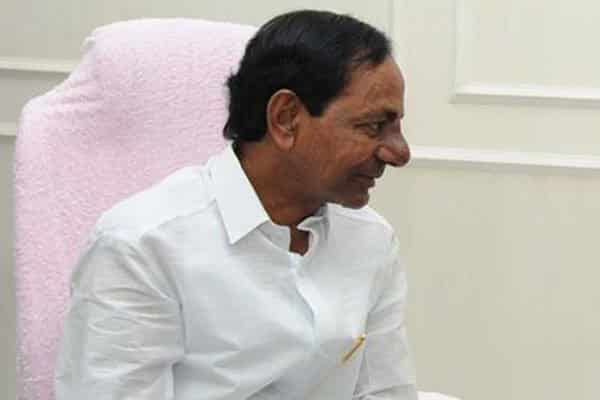 KCR launches sheep distribution scheme, requests farmers not to commit suicide