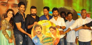 Markathamani-Audio-Launch