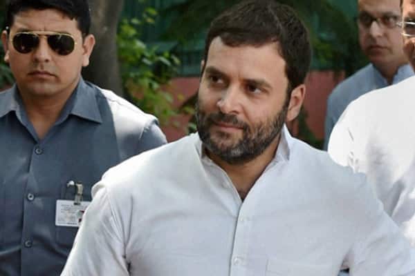 Rahul accepts defeat, congratulates Modi