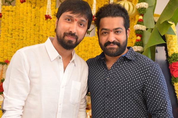 Is Bobby turning a liability for NTR ?