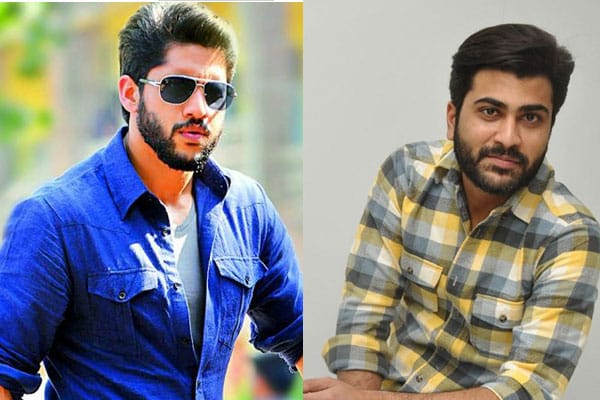 Noted producer announces films with Chaitu and Sharwanand