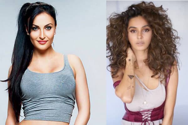 Elli AvrRam and Shibani Dandekar