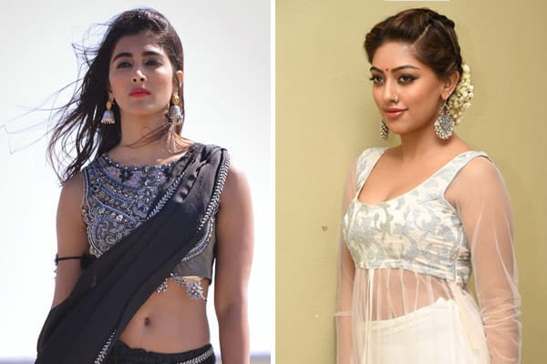 NTR28 – Pooja Hegde or Anu Emmanuel?