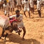 Three Jallikattu spectators die in Tamil Nadu