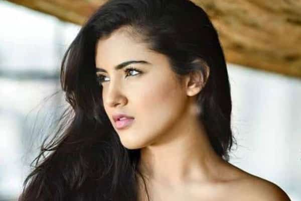 Ravi Teja’s heroine to romance young hero