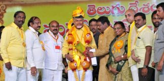 Mahanadu Attack on BJP, what could be the Chandra Babu Naidu's strategy for 2019