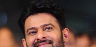 Prabhas to revive Sukumar's project next year ?Prabhas to revive Sukumar's project next year ?