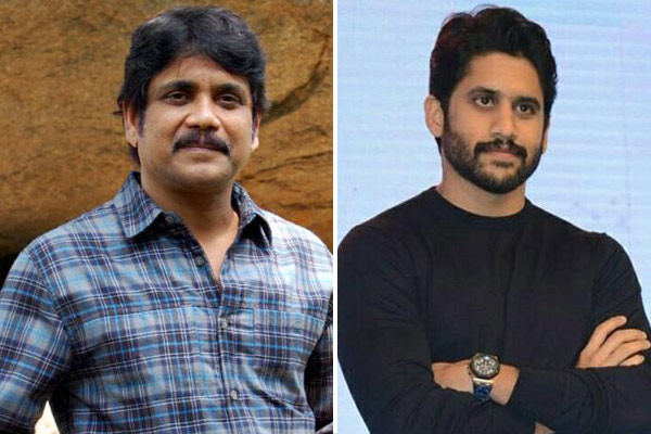 Exclusive – Puri’s casting coup: Nag, Chay together