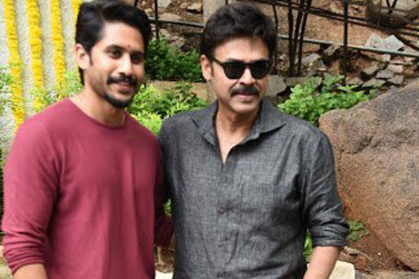 Naga Chaitanya , venkatesh