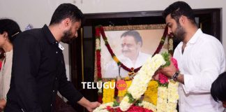 NTR and Kalyan Ram no to TDP's request