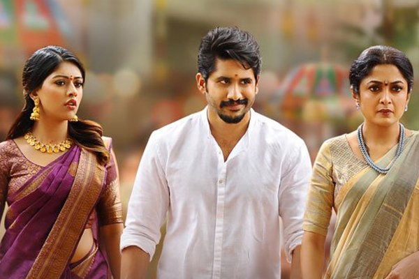 Shailaja Reddy Alludu pre release business