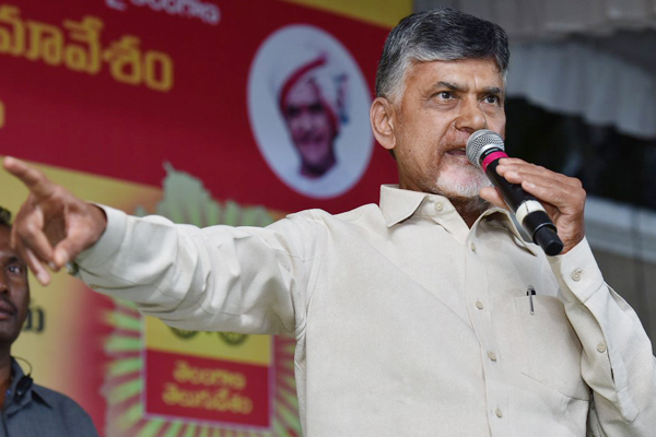 TDP chief leaves decision on poll alliance to Telangana unit TDP chief leaves decision on poll alliance to Telangana unit