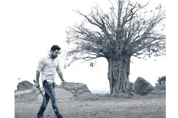 Confident NTR and Trivikram going all out for promotions