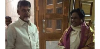 Chandrababu Naidu meets Mayawati blow to bjp