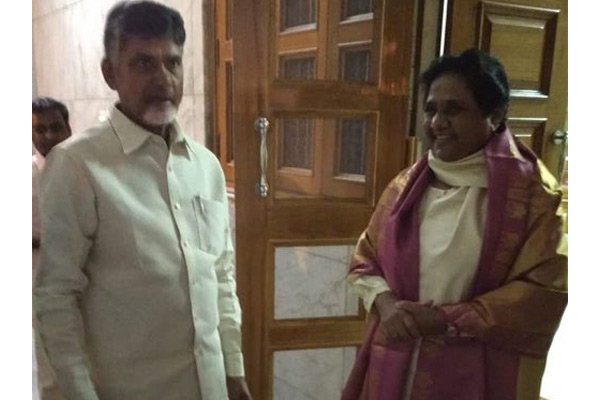 Chandrababu Naidu meets Mayawati blow to bjp