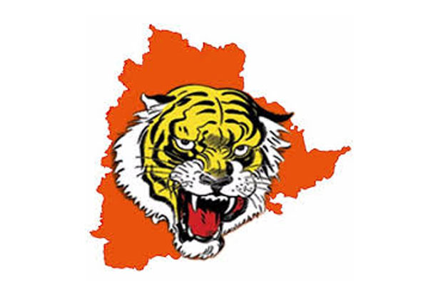 Shiv Sena to contest in T-elections