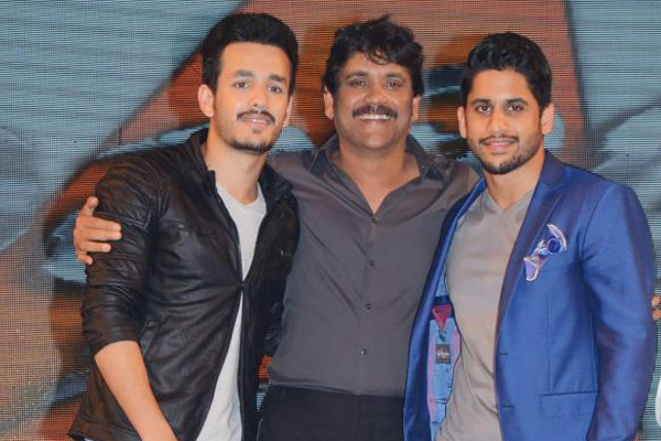 Disappointing year for Akkineni heroesDisappointing year for Akkineni heroes