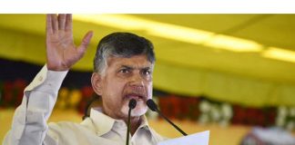 Missing of Muslims votes: TDP to launch nation-wide awareness