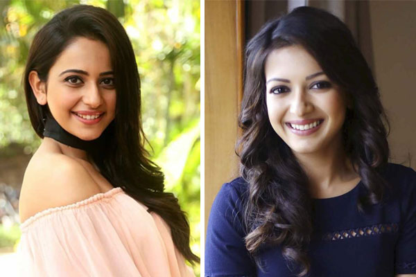 Rakul and Catherine for Nandamuri hero’s next