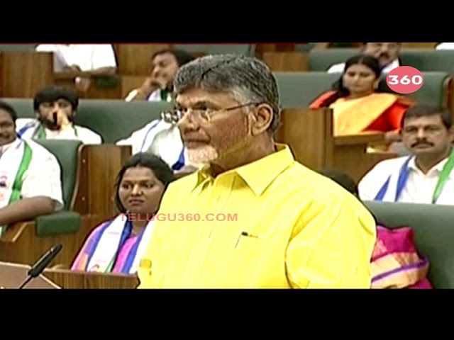 Video: Chandrababu Naidu takes oath as MLA in AP Assembly