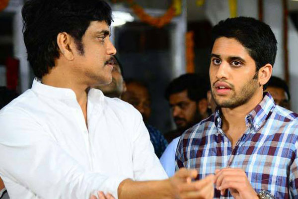 Nag and Chay not keen about starting ‘Soggade…. ‘ sequel