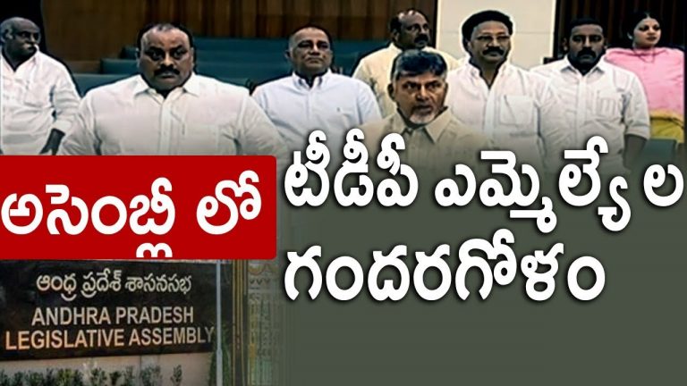 Video: AP Assembly Budget Sessions