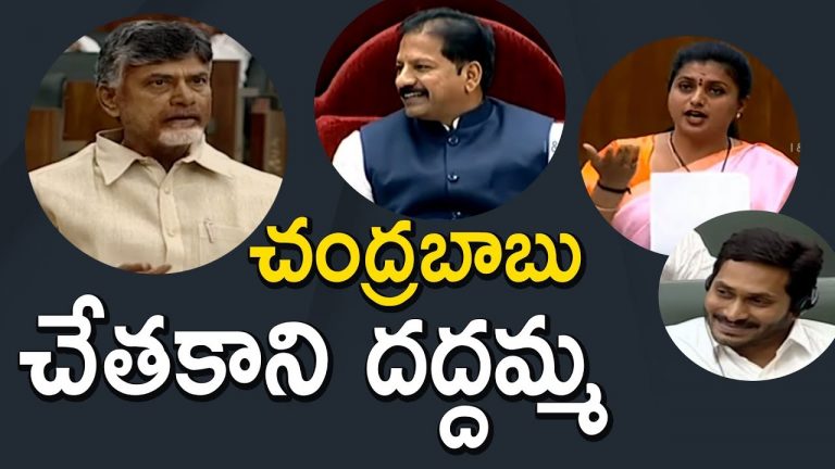 Video: MLA Roja Comments on Chandrababu Naidu