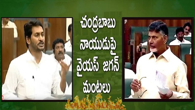 Video: YS Jagan fires on Chandrababu Naidu In AP Assembly