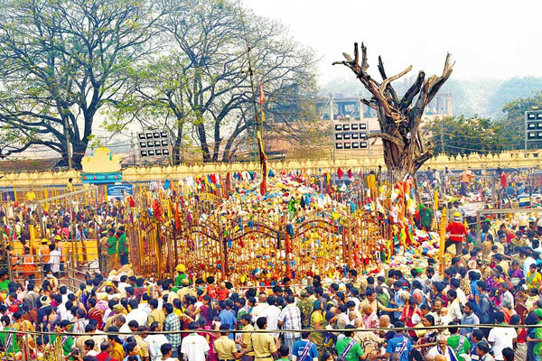 Lakhs descend on Telangana’s Medaram for tribal fair