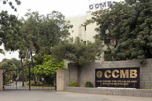 Central govt permits CCMB to conduct corona tests