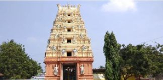 Govt begins works on building new chariot in Antarvedi temple