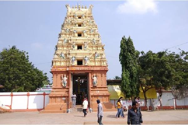 Govt begins works on building new chariot in Antarvedi temple