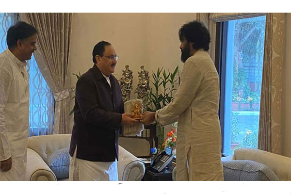 Pawan Kalyan meets Nadda on Tirupati bypoll